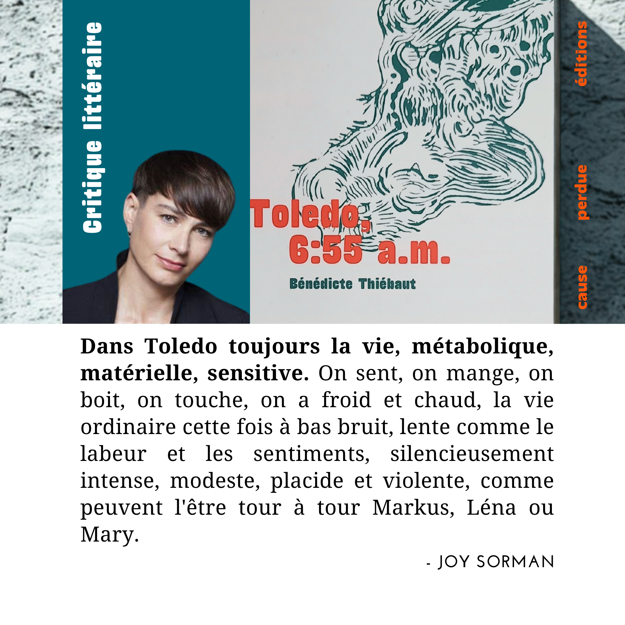 couverture livre libellule