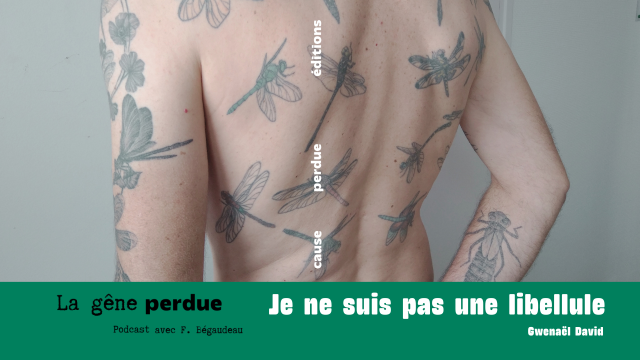 je ne suis pas une libellule