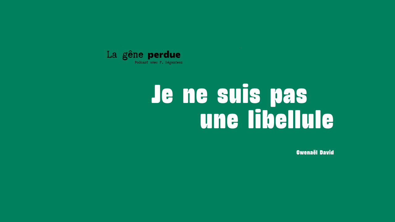 libellule cause perdue livre rentrée