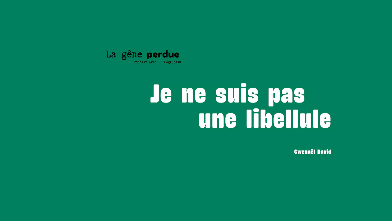 libellule cause perdue livre rentrée